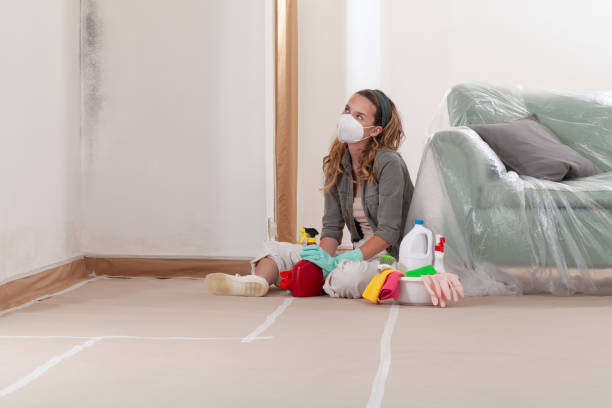 Reliable Mold Remediation contractor in Odessa, FL by WQB Mold Removal
